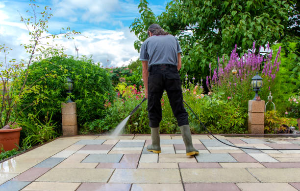 Best Brick and Stone Cleaning in Lenoir, NC