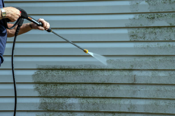 Best Soft Washing for Delicate Surfaces in Lenoir, NC